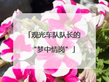 观光车队队长的“梦中情岗”