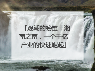 观潮的螃蟹丨湘南之南，一个千亿产业的快速崛起