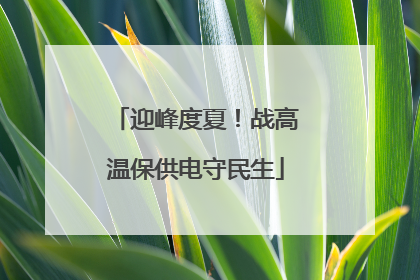 迎峰度夏！战高温保供电守民生
