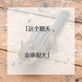 这个夏天，金寨很火