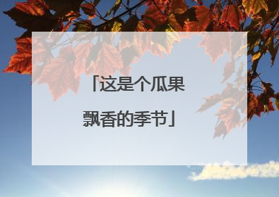 这是个瓜果飘香的季节