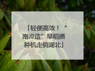 轻便高效！“南漳造”旱稻播种机走俏湖北