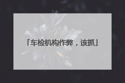 车检机构作弊，该抓