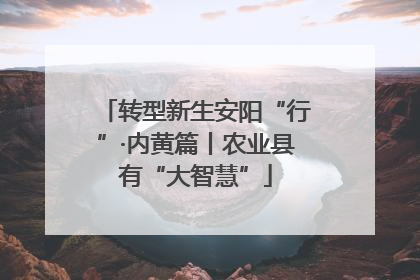 转型新生安阳“行”·内黄篇丨农业县有“大智慧”