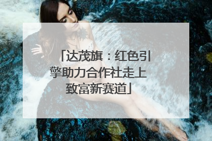 达茂旗：红色引擎助力合作社走上致富新赛道