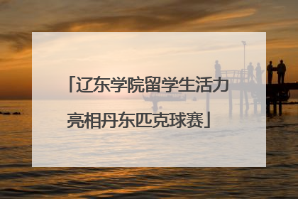 辽东学院留学生活力亮相丹东匹克球赛