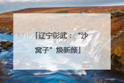 辽宁彰武：“沙窝子”焕新颜