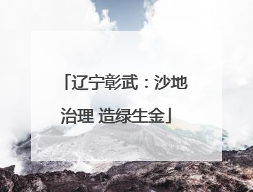辽宁彰武：沙地治理 造绿生金