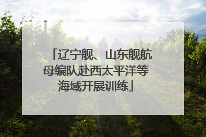 辽宁舰、山东舰航母编队赴西太平洋等海域开展训练