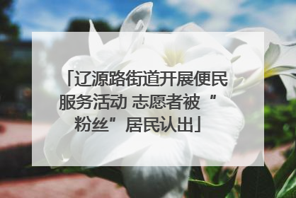 辽源路街道开展便民服务活动 志愿者被“粉丝”居民认出