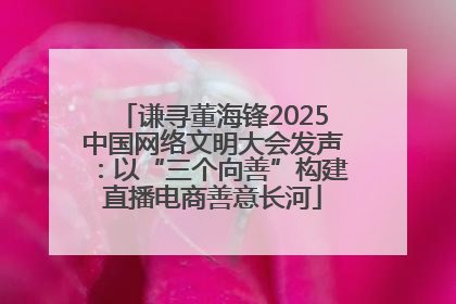 谦寻董海锋2025中国网络文明大会发声：以“三个向善”构建直播电商善意长河
