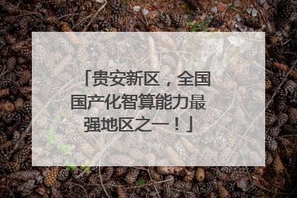 贵安新区，全国国产化智算能力最强地区之一！