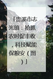 贵溪市志光镇：抢抓农时促丰收，科技赋能保粮安（图）