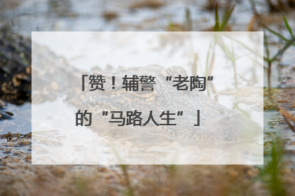 赞！辅警“老陶”的“马路人生”