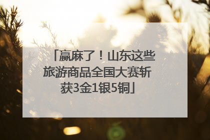 赢麻了！山东这些旅游商品全国大赛斩获3金1银5铜