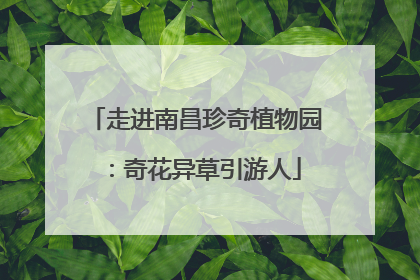 走进南昌珍奇植物园：奇花异草引游人
