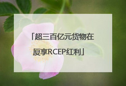 超三百亿元货物在厦享RCEP红利