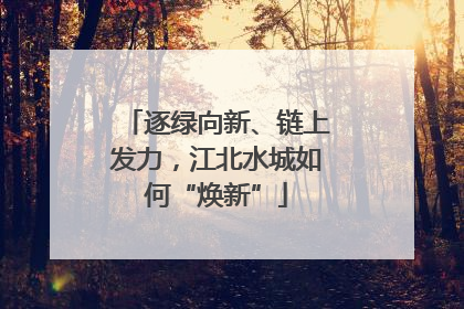逐绿向新、链上发力，江北水城如何“焕新”