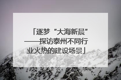 逐梦“大海新晨”——探访泰州不同行业火热的建设场景