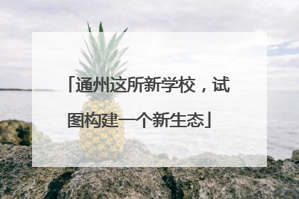 通州这所新学校，试图构建一个新生态