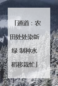 通道：农田处处染新绿 制种水稻移栽忙