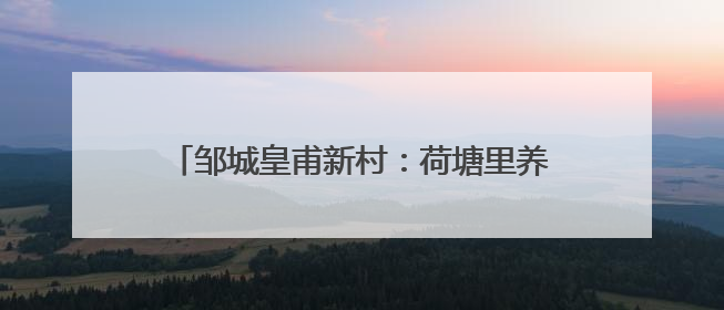 邹城皇甫新村：荷塘里养虾，一亩增收6000元