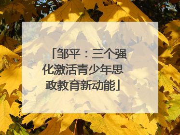 邹平：三个强化激活青少年思政教育新动能