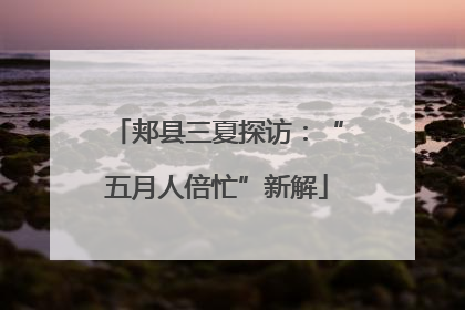郏县三夏探访：“五月人倍忙”新解