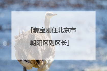 郝宝刚任北京市朝阳区副区长
