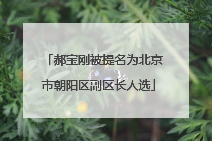 郝宝刚被提名为北京市朝阳区副区长人选