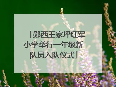 郧西王家坪红军小学举行一年级新队员入队仪式