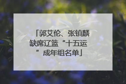 郭艾伦、张镇麟缺席辽篮“十五运”成年组名单