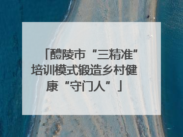 醴陵市“三精准”培训模式锻造乡村健康“守门人”
