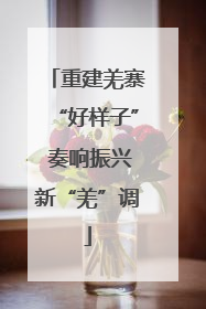 重建羌寨“好样子” 奏响振兴新“羌”调