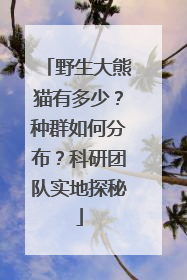 野生大熊猫有多少？种群如何分布？科研团队实地探秘