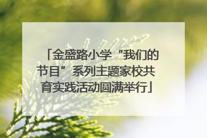 金盛路小学“我们的节目”系列主题家校共育实践活动圆满举行