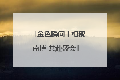 金色瞬间丨相聚南博 共赴盛会