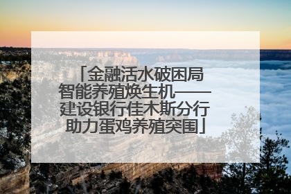 金融活水破困局 智能养殖焕生机——建设银行佳木斯分行助力蛋鸡养殖突围