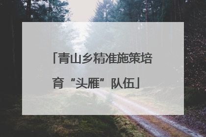 青山乡精准施策培育“头雁”队伍