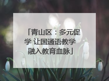 青山区：多元促学 让国通语教学融入教育血脉