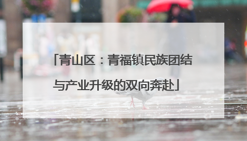 青山区：青福镇民族团结与产业升级的双向奔赴