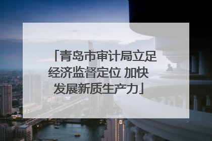 青岛市审计局立足经济监督定位 加快发展新质生产力