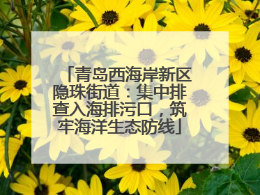 青岛西海岸新区隐珠街道：集中排查入海排污口，筑牢海洋生态防线