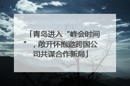 青岛进入“峰会时间”，敞开怀抱邀跨国公司共谋合作新局