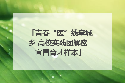 青春“医”线牵城乡 高校实践团解密宜昌育才样本