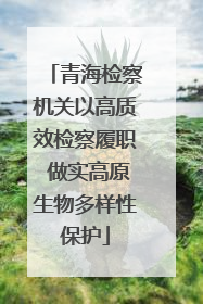 青海检察机关以高质效检察履职 做实高原生物多样性保护