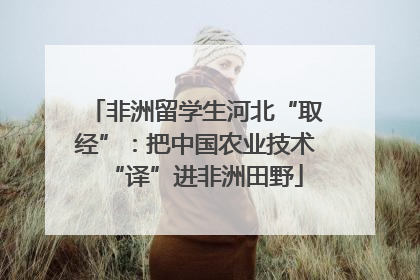 非洲留学生河北“取经”：把中国农业技术“译”进非洲田野
