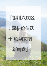 银川兴庆区：深耕价值沃土 绘制文明新画卷