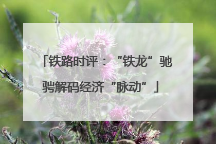 铁路时评：“铁龙”驰骋解码经济“脉动”