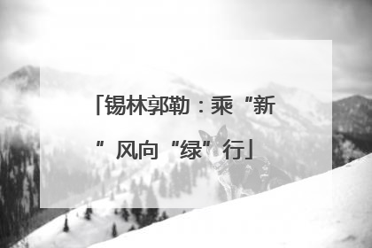 锡林郭勒：乘“新”风向“绿”行